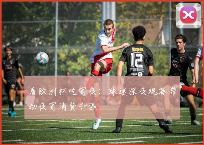 看欧洲杯吃宵夜:球迷深夜观赛带动夜宵消费升温