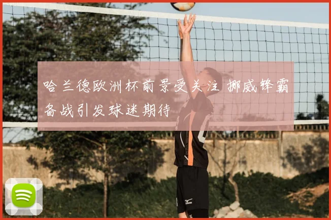 哈兰德欧洲杯前景受关注 挪威锋霸备战引发球迷期待