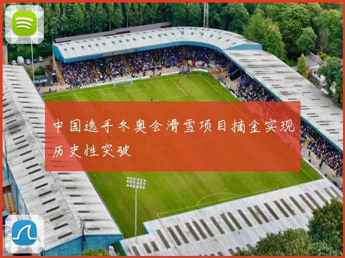 中国选手冬奥会滑雪项目摘金实现历史性突破