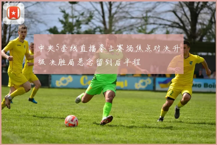 中央5套线直播拳击赛场焦点对决升级 决胜局悬念留到后半程