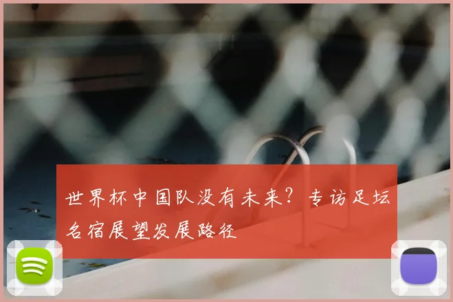 世界杯中国队没有未来?专访足坛名宿展望发展路径